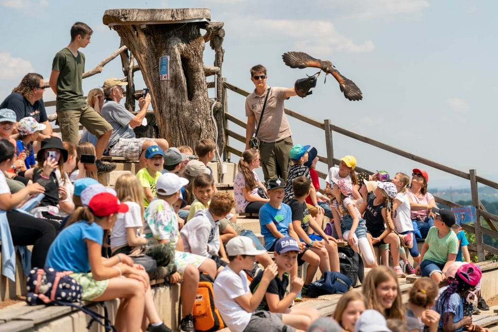 Besucher bei der Greifvogelschau