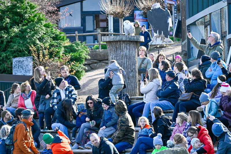 Burg Opening 2026 - Fotos (C) Johannes Singer